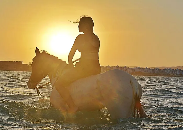 Sea View In Center Апартаменты *
